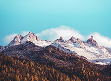 开云网页版中国官网：一站式数字生活入口