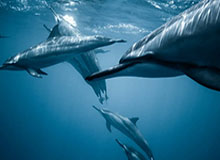 开云网页版中国官网：一站式数字生活入口